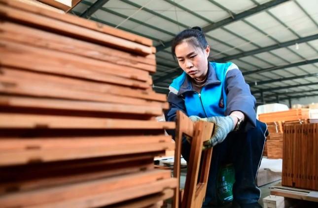 Caoxian Percepat Pengembangan Industri Hewan Peliharaan untuk Rebut Pasar Global