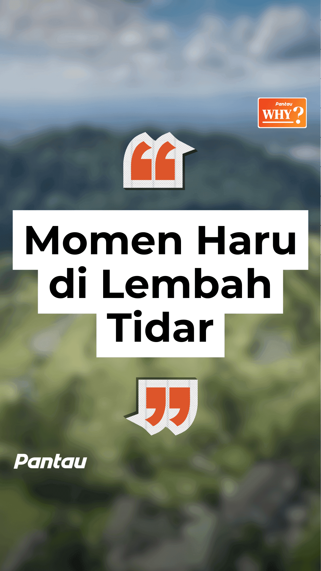 MOMEN HARU DI LEMBAH TIDAR