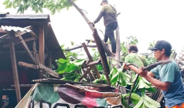 Pohon Tumbang Timpa Lima Kios di Pasar Munjul, Pemkot Jaktim Lakukan Evakuasi Cepat