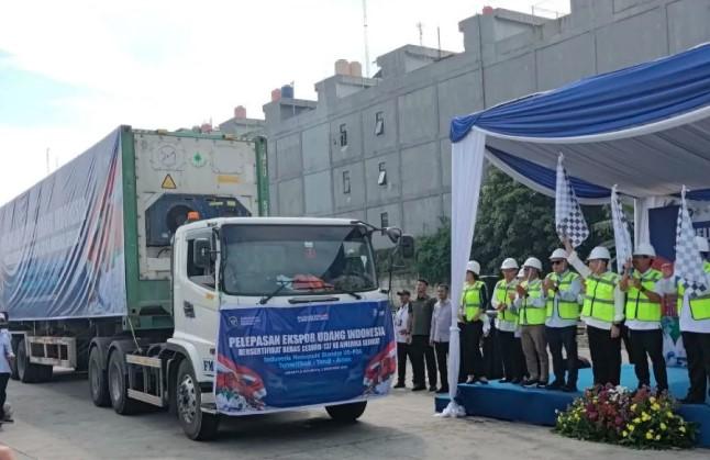 Ekspor Udang Indonesia ke AS Kembali Melaju, 182 Ton Dilepas Setelah Sertifikasi Bebas Cesium-137