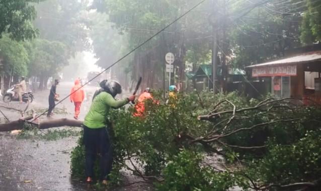 Belasan Pohon Tumbang di Jakarta Timur Dievakuasi Cepat Usai Hujan Disertai Angin Kencang