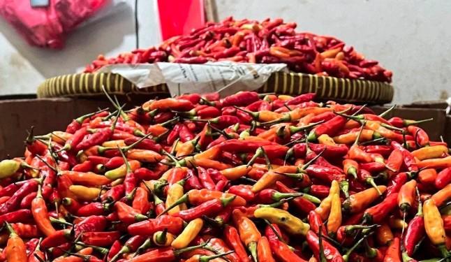 PIHPS Catat Harga Cabai Rawit Merah Tembus Rp70.200 per Kilogram, Telur Ayam Rp32.450