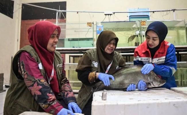 PFsains 2025: Pertamina Gelontorkan Rp3 Miliar untuk 25 Inovasi Riset Pangan dan Energi