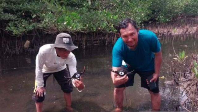 PKSPL IPB dan Warga Anambas Tebar Kepiting Bakau untuk Pulihkan Ekosistem dan Tingkatkan Ekonomi Pesisir