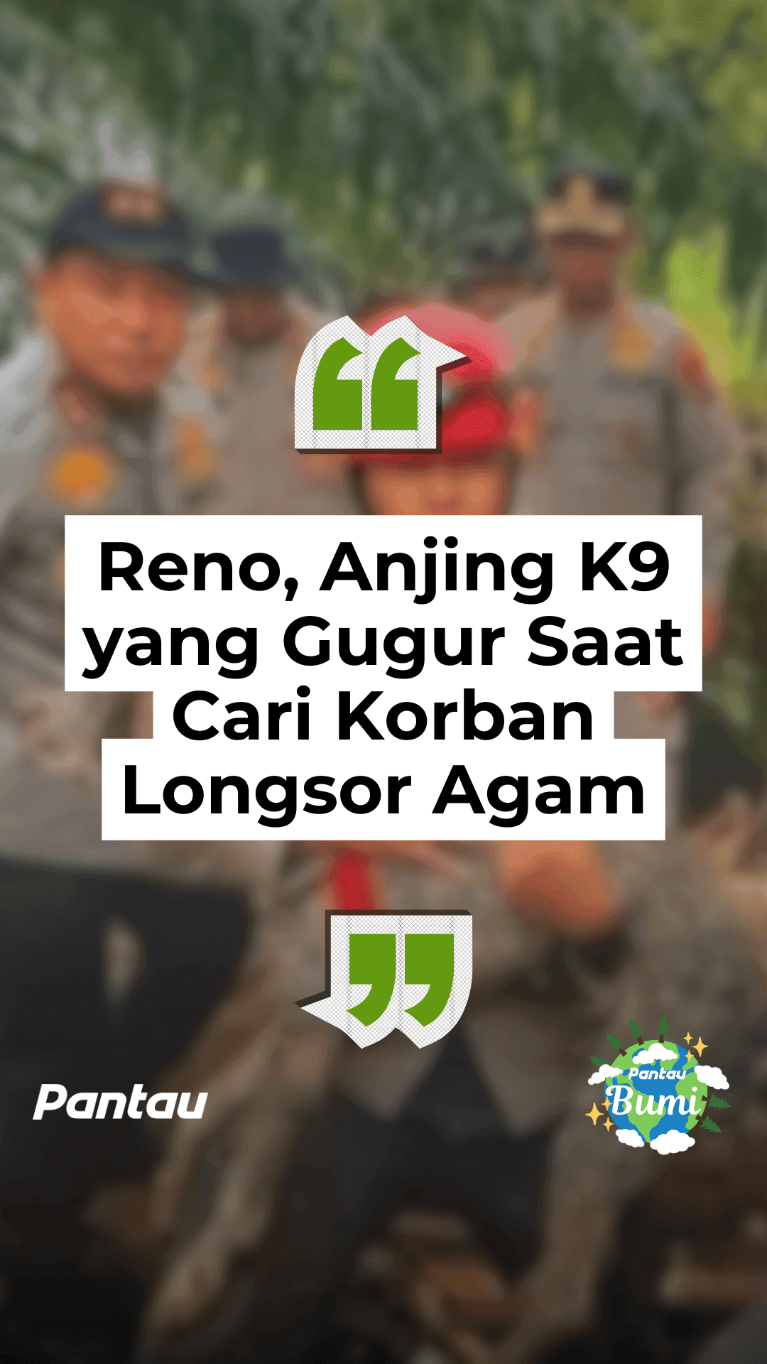 RENO, ANJING K9 YANG GUGUR SAAT CARI KORBAN LONGSOR AGAM