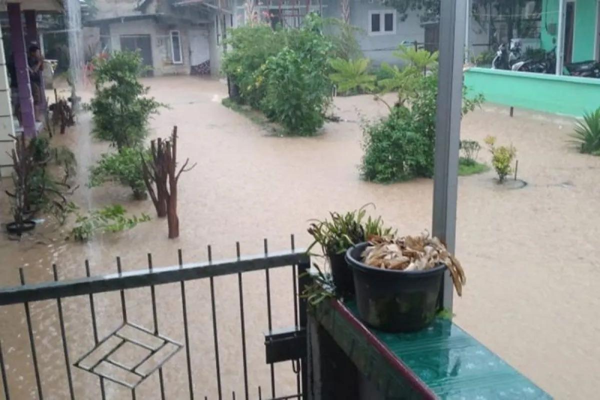 Waspada Buaya Muncul Saat Banjir, BPBD Babel Imbau Warga Jauhi Genangan Air