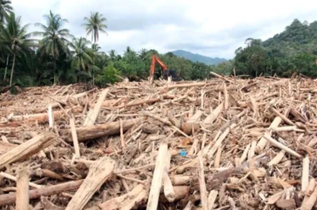 Bareskrim Naikkan Status Kasus Temuan Kayu Gelondongan di Dua DAS Sumatera Utara ke Penyidikan