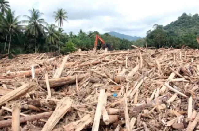 DPR Ajak Masyarakat Beri Masukan untuk Revisi UU Kehutanan, Soroti Kerusakan dan Ketimpangan Regulasi