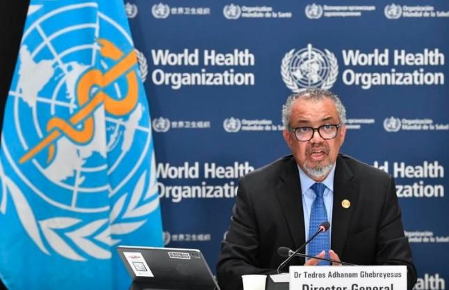 Organisasi Kesehatan Dunia (WHO) melaporkan peningkatan aktivitas influenza di seluruh dunia sejak Oktober 2025, dengan virus