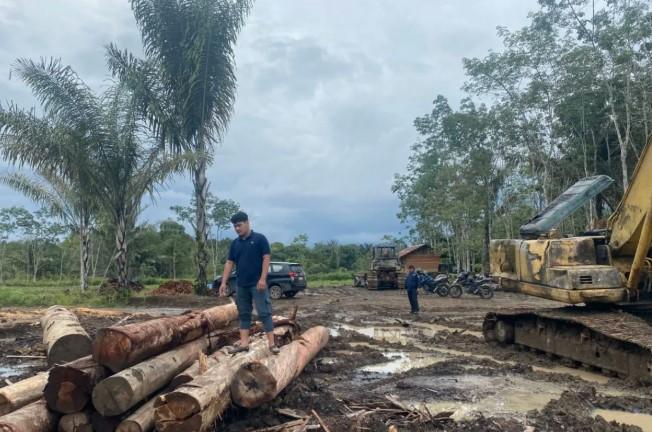 Kemenhut Hentikan Sementara Pengangkutan Kayu di Wilayah Banjir Sumatera, Perketat Pengawasan Ilegal Logging