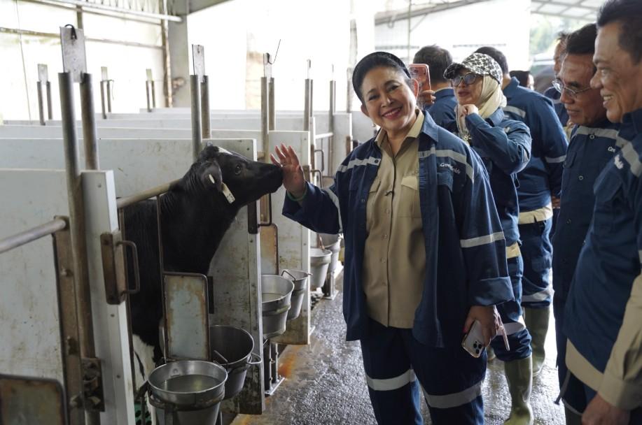 Ketua Komisi IV DPR RI Dorong Swasembada Susu Nasional dalam Kunjungan ke Peternakan PT Greenfields Malang