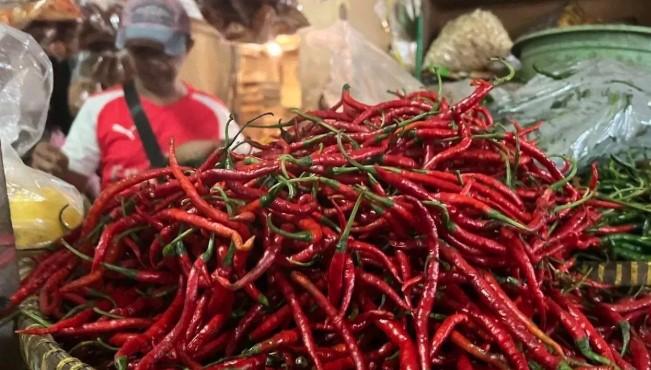 PIHPS Catat Harga Cabai Rawit Merah Tembus Rp80.700 per Kilogram, Telur Ayam Ras Rp32.650