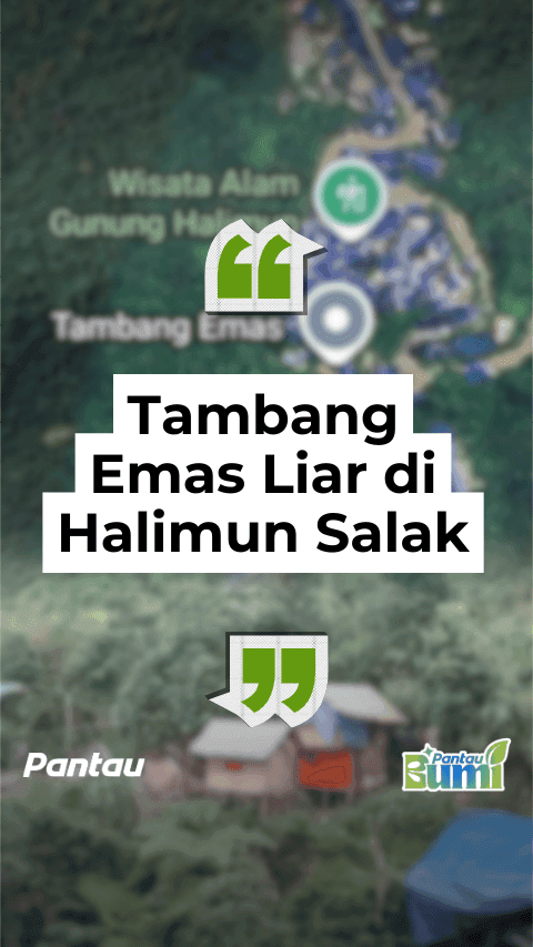 TAMBANG EMAS LIAR DI HALIMUN SALAK