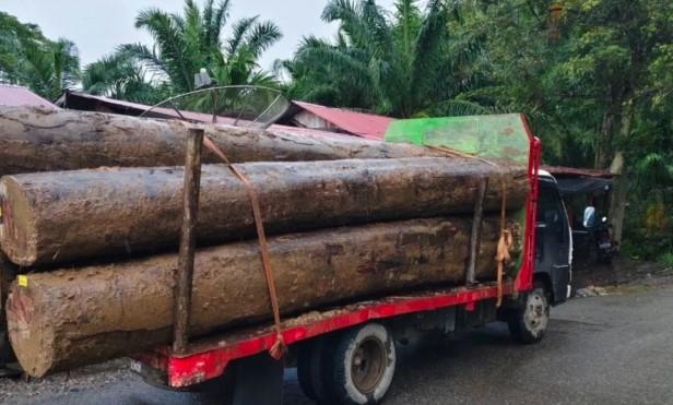LSM GeRAK Desak Aparat Usut Pengiriman Kayu Gelondongan Pascabanjir Bandang Aceh Barat