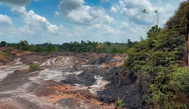 Otorita IKN Bentuk Satgas untuk Berantas Aktivitas Ilegal, Fokus Penertiban dan Pencegahan Berkelanjutan