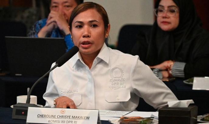 Logika Energi Pemerintah Dipertanyakan, Cheroline Makalew Kritik Rencana Sawit di Papua