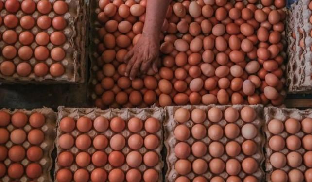 PIHPS: Harga Cabai Rawit Merah Tembus Rp74.800/kg, Telur Ayam Rp33.000/kg per 19 Desember 2025