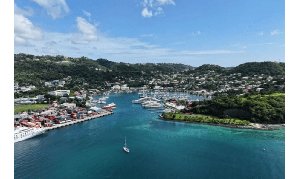 Teknologi dan Pelatihan dari Pakar China Dongkrak Pertanian Grenada, Pendapatan Petani Naik Tajam