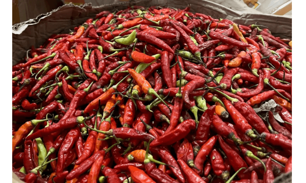 Harga Cabai Rawit Merah Tertinggi Capai Rp72.750 per Kg, Ini Daftar Lengkap Harga Pangan Nasional 21 Desember 2025