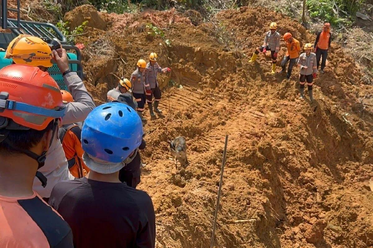 Polda Sumut Kerahkan Anjing Pelacak K-9 untuk Bantu Pencarian Korban Banjir dan Longsor di Tapanuli Selatan