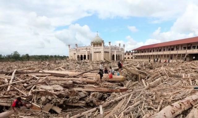 Kemenhut Izinkan Pemanfaatan Kayu Hanyut Pascabanjir Bandang di Aceh, Sumut, dan Sumbar untuk Pemulihan Warga