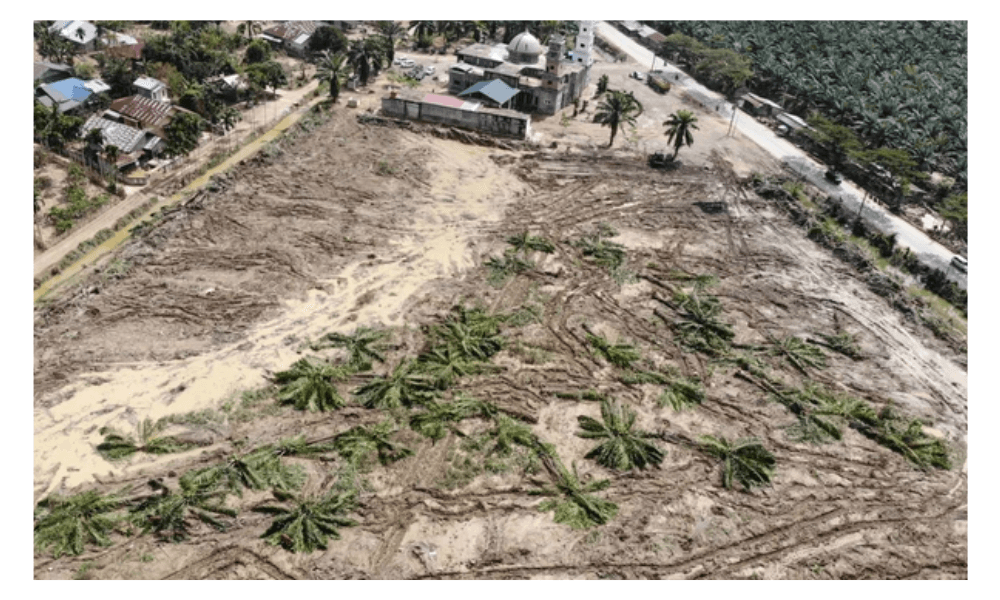 Pemerintah Targetkan Hunian Sementara Korban Bencana Aceh Rampung Sebelum Ramadan