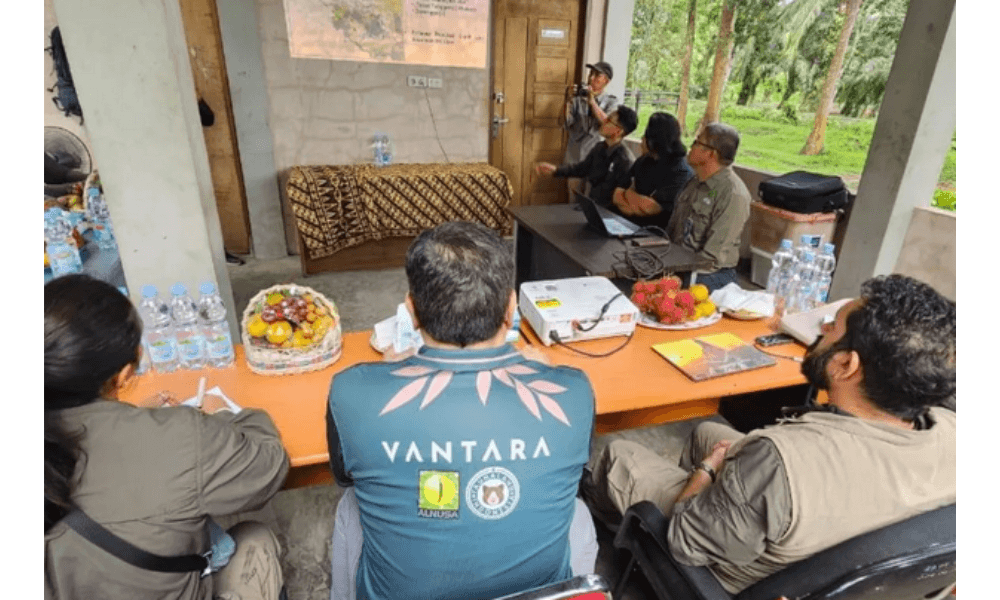 Kemenhut Gandeng Vantara India Tangani Virus Mematikan EEHV pada Gajah Sumatera