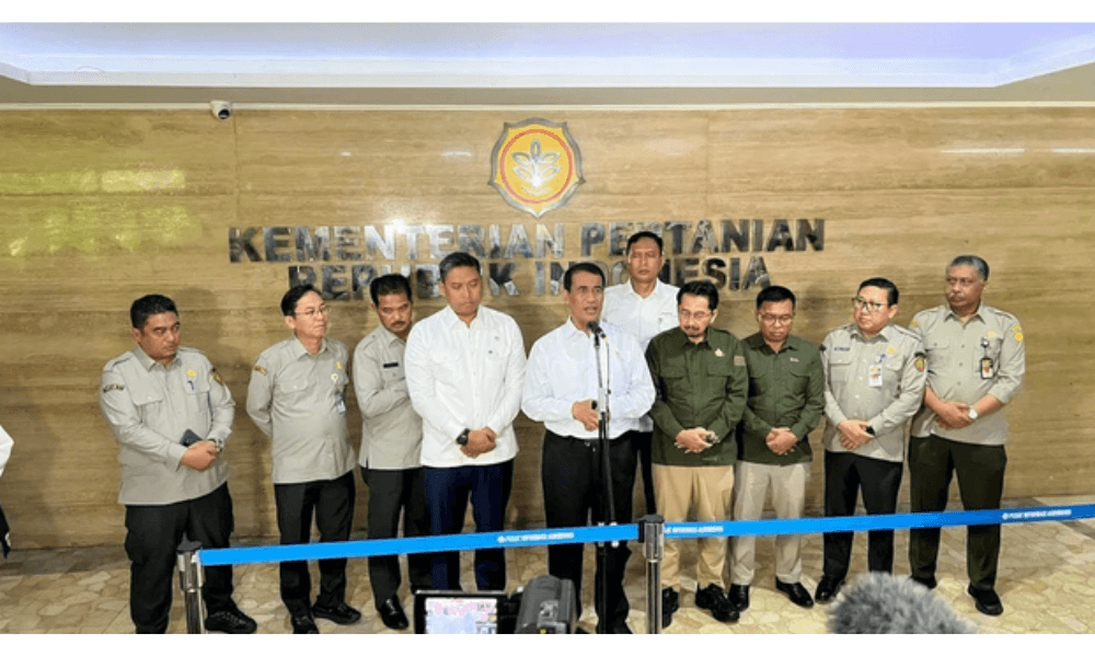 Harga Cabai Nasional Mulai Turun, Pemerintah Pastikan Distribusi Lancar Jelang Nataru