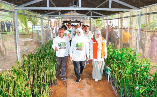 Jawa Timur Dorong Hilirisasi Mangrove dan Ekonomi Rendah Karbon di Pacitan