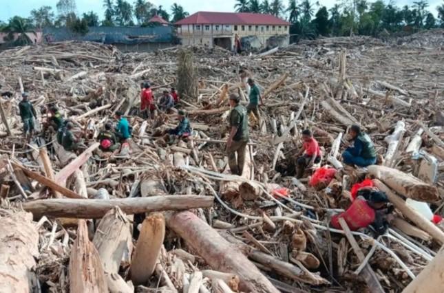 Kemenhut Percepat Pembersihan Tumpukan Kayu dan Lumpur di Wilayah Terdampak Banjir Sumatera