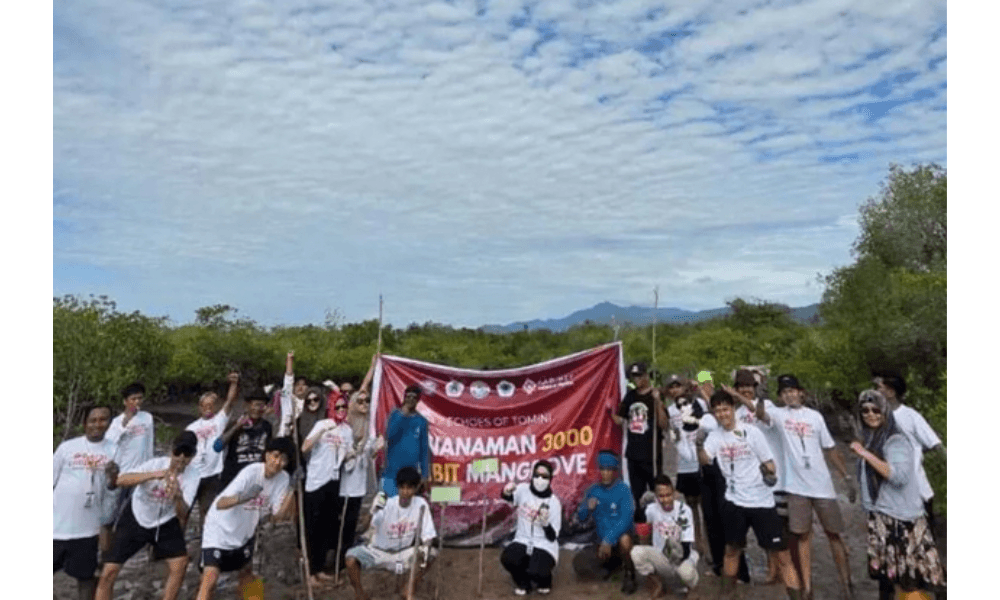 Ratusan Mahasiswa UNG Tanam 3.000 Mangrove di Torosiaje untuk Perkuat Benteng Alam Pesisir