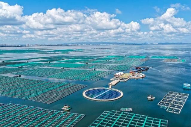 China Menyerahkan Instrumen Ratifikasi Perjanjian Keanekaragaman Hayati Laut kepada PBB