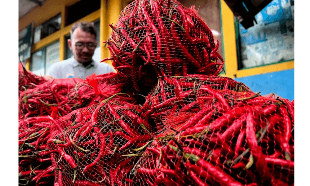 Harga Cabai Rawit Merah Tembus Rp73.050 per Kilogram saat Natal 2025, Telur Ayam Relatif Stabil