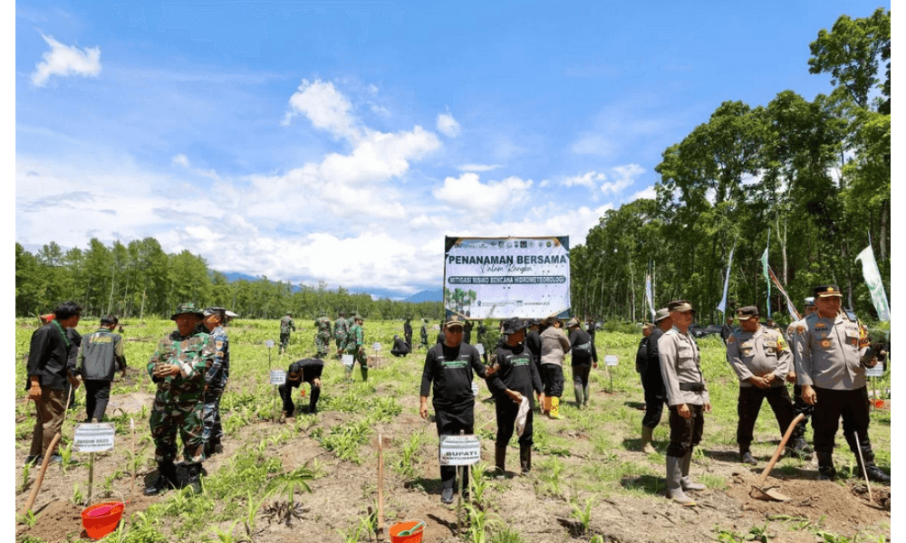 Pemkab Banyuwangi dan Perhutani Tanam 200 Ribu Pohon untuk Perkuat Reforestasi Hutan Produksi