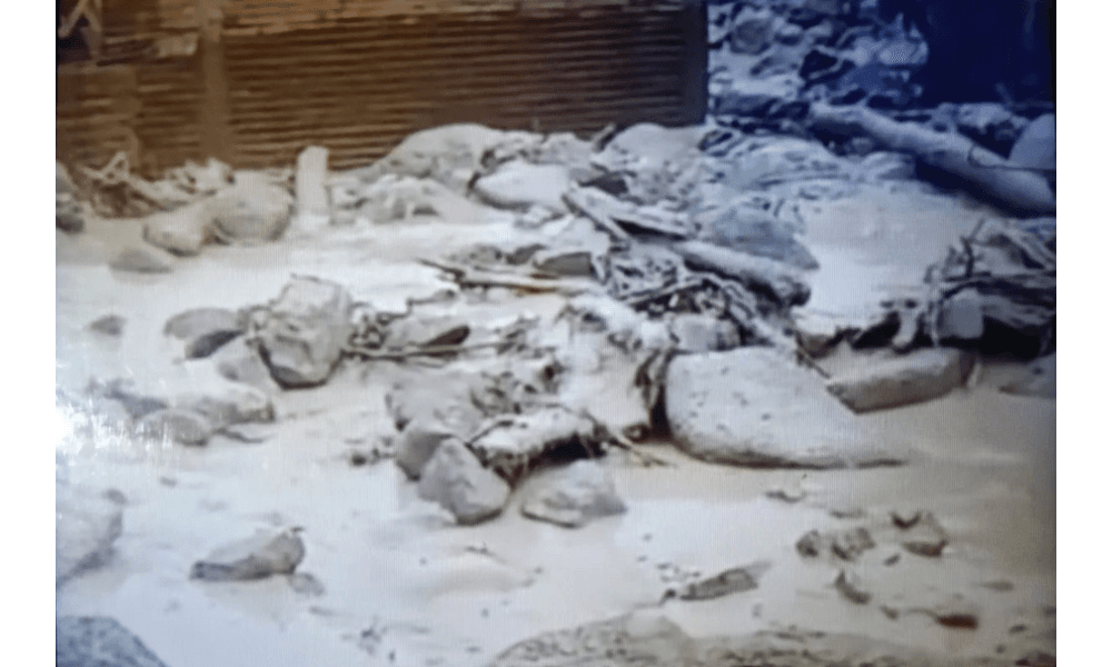 Banjir Bandang Kembali Terjang Maninjau, Puluhan Rumah Terendam Material Lumpur dan Batu