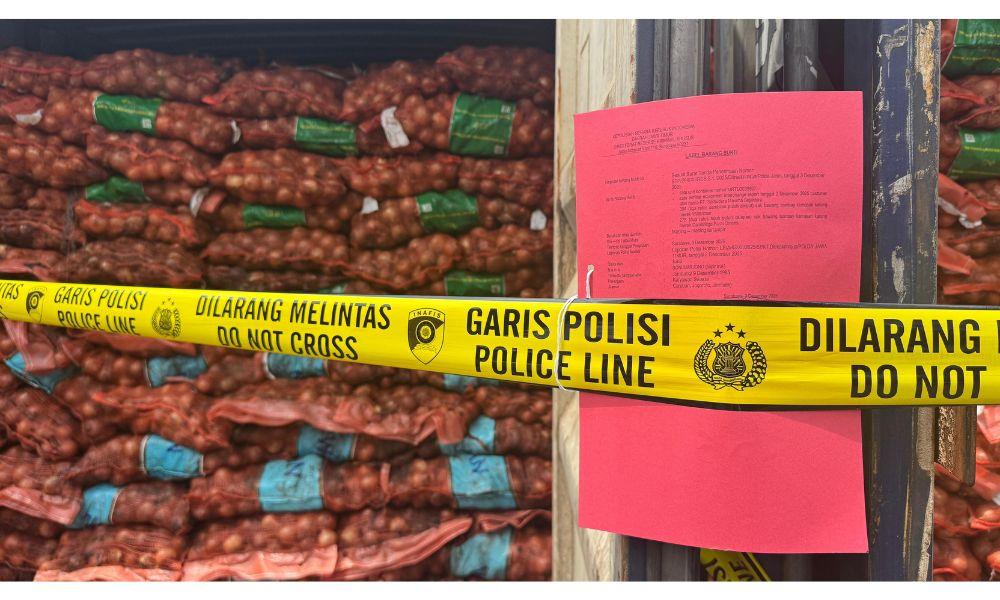 4 Organisme di Bawang Bombai Ilegal Ini Bisa Hancurkan Produksi Pertanian Nasional