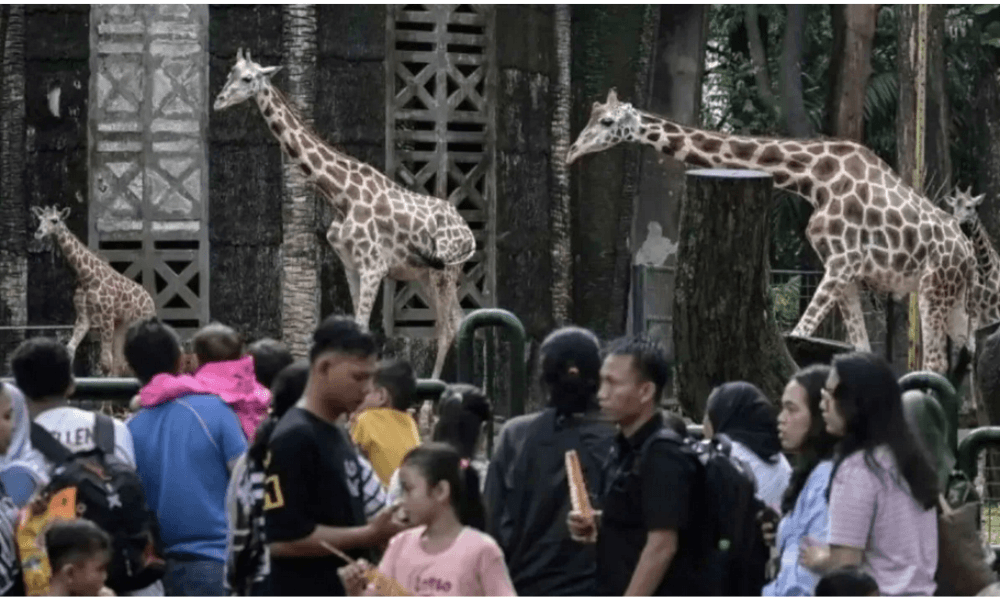 Pemprov DKI Umumkan UMP 2026 Rp5,7 Juta dan Siapkan Ragunan hingga Doa Bersama Sambut Tahun Baru