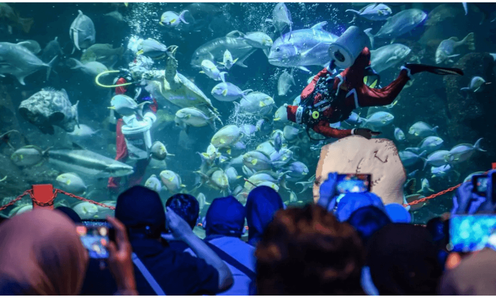 Libur Natal 2025, Ancol Catat 43.500 Pengunjung dan Gelar Program "Liburan Penuh Ceria"