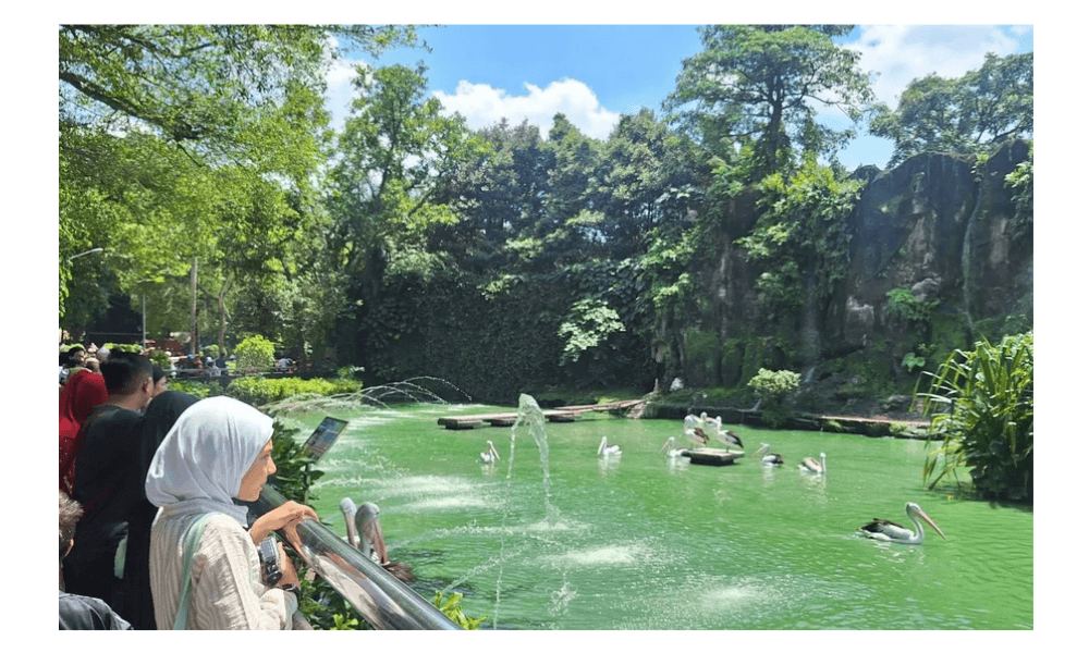 Ragunan Tambah Jam Operasional dan Sajikan Atraksi Spesial Selama Libur Nataru 2025–2026