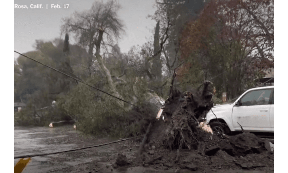 Gubernur California Tetapkan Status Darurat di Enam Wilayah akibat Badai Besar dan Ancaman Longsor