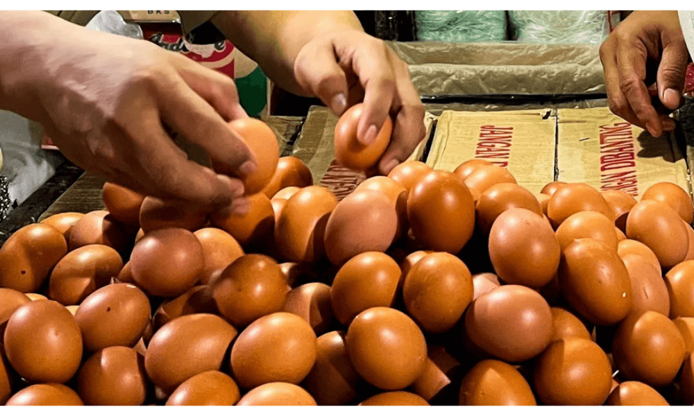 Bapanas Pastikan Stok Telur Ayam Ras Nasional Aman hingga Lebaran 2026, Harga Mulai Turun