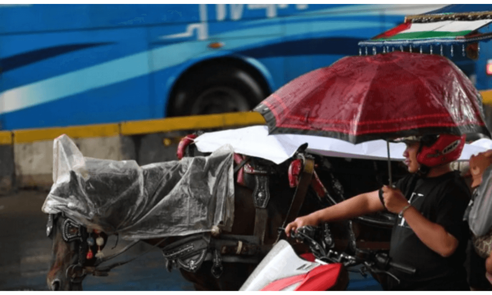 BMKG Prediksi Hujan dan Petir Guyur Seluruh Wilayah Jakarta Sepanjang Sabtu