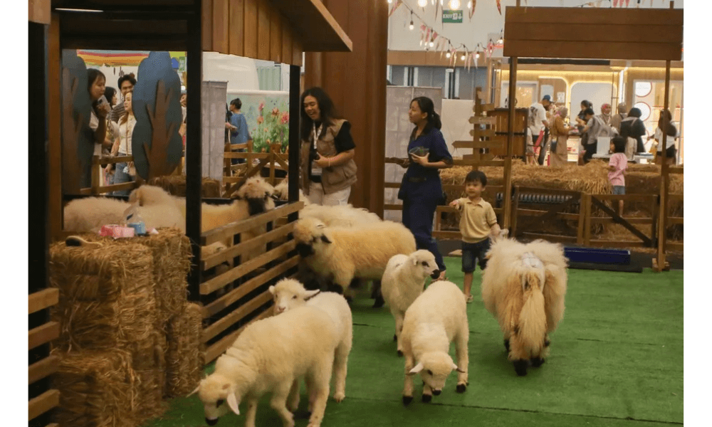 India Rayakan Ulang Tahun Pertama Domba Hasil Editing Gen CRISPR Bernama Tarmeem