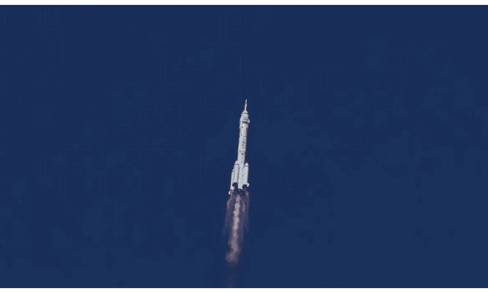 Empat Tikus Diberi Nama oleh Publik China Sebelum Dikirim ke Luar Angkasa