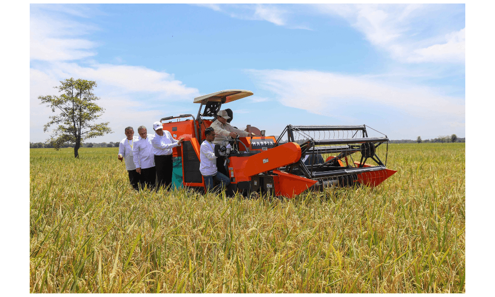 Akademisi Unand: Transformasi Kebijakan ala Mentan Amran Dorong Ekosistem Pangan Nasional yang Tangguh