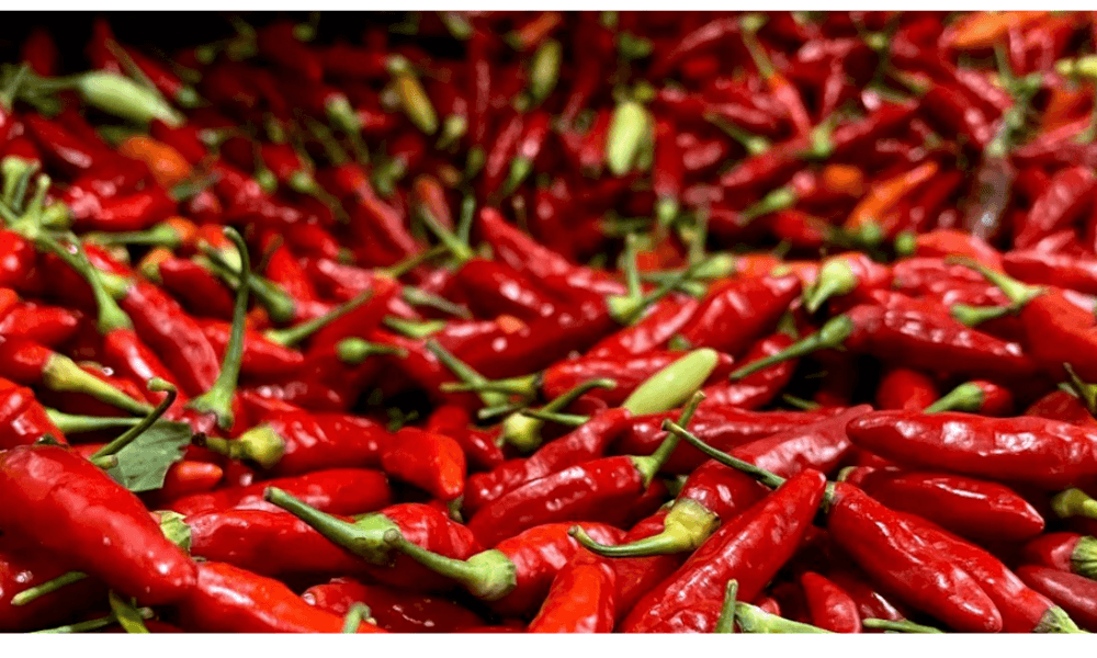 Harga Pangan Nasional 29 Desember 2025: Cabai Rawit Rp45.000/kg, Telur Ayam Rp29.000/kg