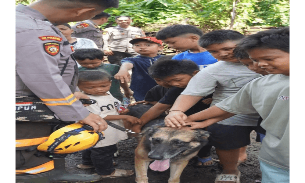 Anjing Pelacak K-9 Dikerahkan Polda Sumut untuk Edukasi dan Trauma Healing Anak Pengungsi di Tapanuli Selatan