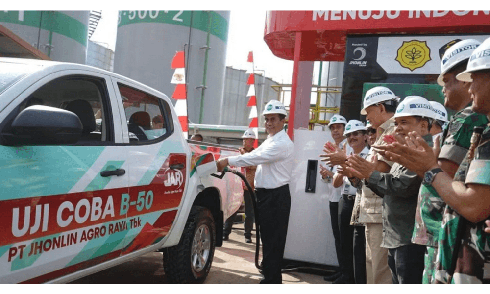 Ekonom dan Petani Sawit Desak Evaluasi Mendalam Sebelum Pemerintah Terapkan B50