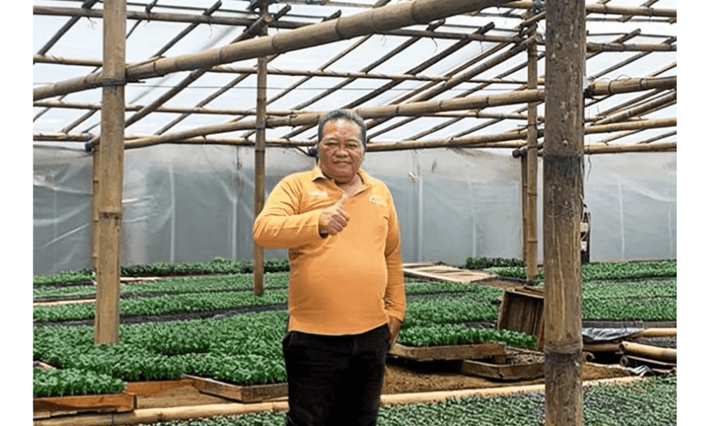 PNM Perkuat Pembiayaan Syariah melalui ULaMM, Dorong UMK dan Ketahanan Pangan Nasional