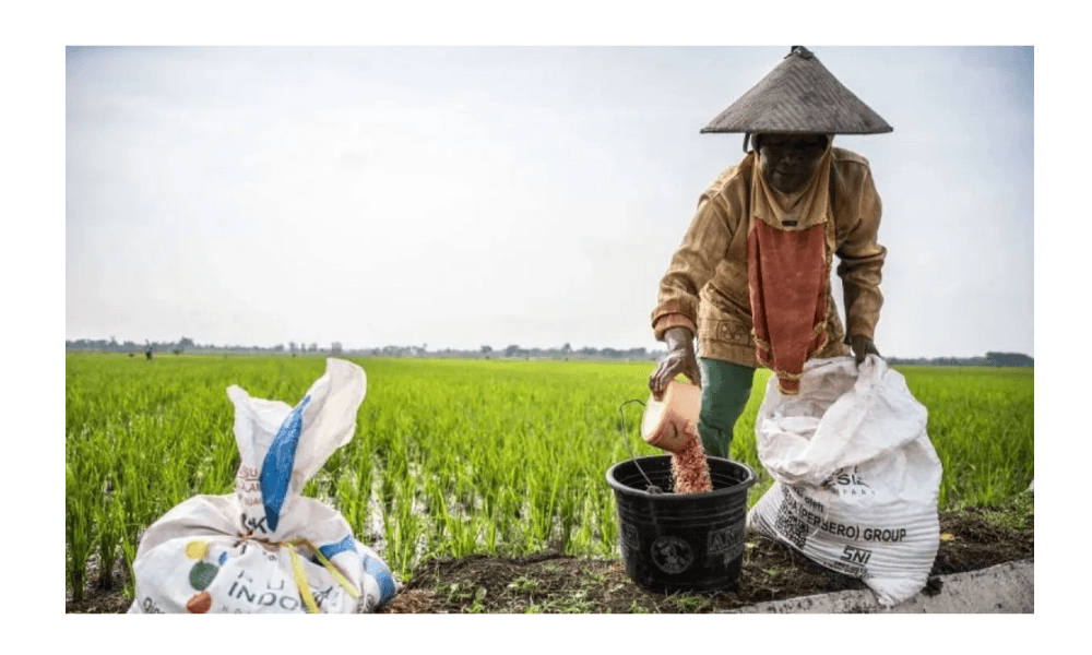 Penebusan Perdana Pupuk Subsidi 2026 Dimulai, Sistem Digital Berjalan Lancar Sejak Menit Pertama